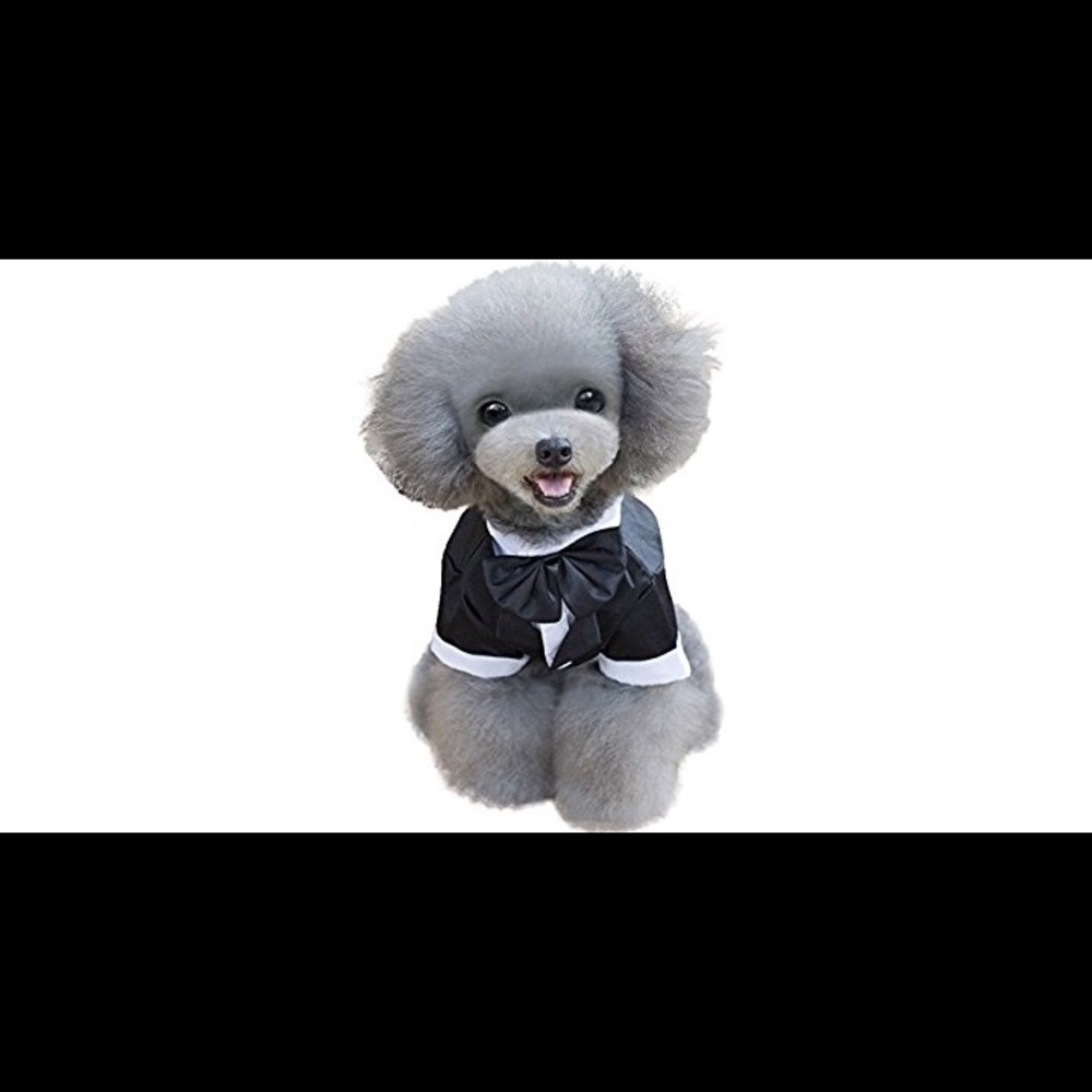 Dog Tuxedo. Sizes large but more like a small!